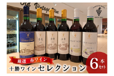 【厳選赤ワイン】十勝ワイン6本セレクション 北海道池田町 赤ワイン 本格派  十勝ワイン ビンテージ 赤ワインセット