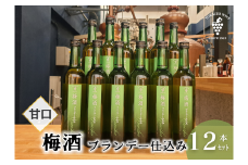 梅酒 ブランデー仕込み 500ml×12本 梅酒 ブランデー 甘口 原酒 熟成 フレンチオーク樽