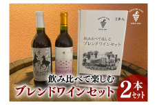 飲み比べて楽しむブレンドワインセット赤2本 十勝ワイン 赤ワイン 北海道ワイン 池田町