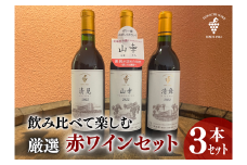 飲み比べて楽しむ厳選赤ワイン3本 北海道ワイン 池田町 十勝ワイン 山幸 清見 清舞 赤ワイン