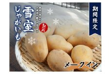 北海道産 熟成じゃがいも メークイン 10kg 期間限定 雪室貯蔵 十勝産 ジャガイモ じゃが芋 いも 甘い