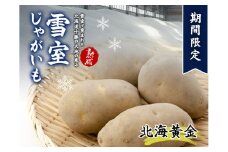 北海道産 熟成じゃがいも 北海黄金  4kg 期間限定 雪室貯蔵 十勝産 ジャガイモ じゃが芋 いも 甘い