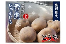 北海道産 熟成じゃがいも とうや 4kg 期間限定 雪室貯蔵 十勝産 ジャガイモ じゃが芋 いも 甘い
