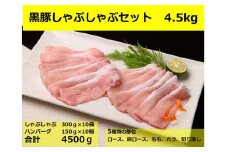 北海道 黒豚しゃぶしゃぶBセット3kg・ハンバーグ10個×150g 合計4.5kg 冷凍 小分け 大容量 豚肉 豚
