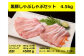 国産の黒豚肉を思う存分楽しめる大人気のしゃぶしゃぶ大容量セット！