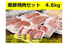 北海道 黒豚焼肉Bセット計4600g・ハンバーグ10個・味噌漬け350g付 ロース 肩ロース バラ モモ ハンバーグ 冷凍 小分け 黒豚 豚肉 お肉 肉味 噌漬け みそ漬け