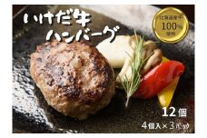 北海道 いけだ牛ハンバーグ12個×100g 計1200g 冷凍 小分け 池田牛 テレビで紹介 ブランド牛 牛肉 お肉 北海道牛 国産 ハンバーグ 牛肉100％