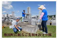 北海道　池田町に眠るご先祖様☆お守り隊【P053-1】