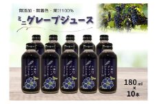 北海道 ぶどうミニジュース10本 ストレート 果汁100％ ぶどう 葡萄 ブドウ 無添加