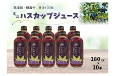 北海道 ハスカップミニジュース 10本 180ml×10本 無添加 ストレート ジュース 果汁100％