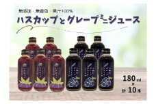 北海道 ぶどう・ハスカップミニジュース10本 ストレート 果汁100％ ぶどう 葡萄 ブドウ ハスカップ 無添加