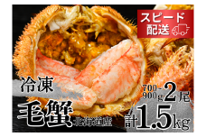 【通年】活ゆで毛蟹（特大）2尾で計1500g【冷凍】国産 北海道産 かに 毛蟹 毛ガニ 毛がに LL