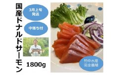 【3月上旬発送】国産ドナルドサーモン(生食用) 1800g 中落ち付 小分け ふるさと納税 サーモン 刺身 ふるさと納税 鮭 冷凍 さけ サケ 海鮮 魚 生食サーモン