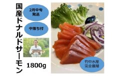 【2月中旬発送】国産ドナルドサーモン(生食用) 1800g 中落ち付 小分け ふるさと納税 サーモン 刺身 ふるさと納税 鮭 冷凍 さけ サケ 海鮮 魚 生食サーモン