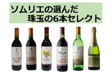 十勝ワイン ソムリエの選んだ珠玉の6本セレクト 山幸 ブルームシャルドネ ツバイゲルト 赤ワイン 白ワイン スパークリング 北海道池田町 ビンテージ 厳選 セレクション