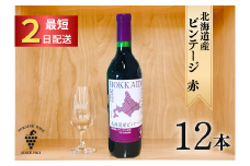 北海道産ビンテージ赤12本 最短申込みから2日発送 北海道ワイン 北海道池田町 