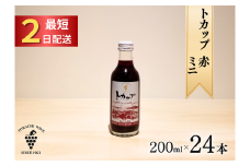 十勝ワイン ミニボトル24本（赤）200ml×24本 赤ワイン 飲み切り お申込みから最短2日発送
