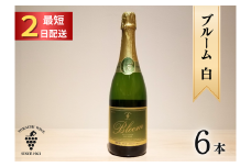 十勝ワイン ブルーム白6本 北海道スパークリング 瓶内二次発酵 スパークリングワイン 辛口 申し込みから最短2日で発送
