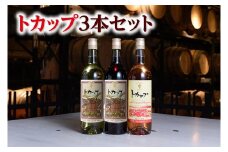 十勝ワイン トカップ3本セット（赤・白・ロゼ）国産ワイン 北海道ワイン 赤ワイン 白ワイン ロゼ セット 北海道池田町