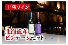 十勝ワイン 北海道産ビンテージ2本セット(（赤・白） ヴィンテージ 国産ワイン 北海道ワイン 赤ワイン 白ワイン セット 北海道池田町