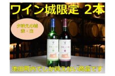  十勝ワイン いけだワイン城限定 2本セット（赤・白）国産ワイン 北海道ワイン 赤ワイン 白ワイン セット 夕映えの城 北海道池田町