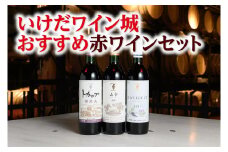 十勝ワイン いけだワイン城おすすめ赤ワインセット3本 山幸 ツバイゲルト 樽熟成 赤ワイン 北海道ワイン 北海道池田町