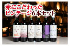 十勝ワイン 赤にこだわったビンテージ6本　北海道ワイン 国産ワイン ヴィンテージ ビンテージ 厳選 人気 受賞
