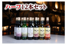 十勝ワイン ハーフボトル12本（赤・白・ロゼ）セット 360ml×12本 赤ワイン 白ワイン ロゼワイン セイオロサム 山幸 トカップ 飲み切り