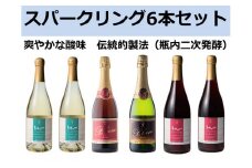 十勝ワイン スパークリング6本セット（4種類）  ブルーム トカップ 北海道ワイン 北海道池田町 食前酒 お祝い パーティー
