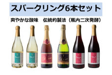 十勝ワイン スパークリング6本セット（4種類）  ブルーム トカップ 北海道ワイン 北海道池田町 食前酒 お祝い パーティー