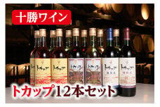十勝ワイン トカップ12本セット（赤・白・ロゼ）瓶熟成 樽熟成 北海道ワイン 池田町