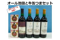 十勝ワイン オール池田といけだ牛缶つまセット 赤ワイン4本 缶詰3個 山幸 清見
