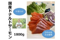  国産ドナルドサーモン(生食用) 中落ち付1800g 刺身 サーモン 冷凍 小分け 北海道産 刺し身 無添加 鮭