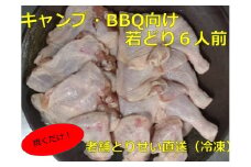 とりせい 味付き若どり6人前セット(冷凍) アウトドア キャンプ バーベキュー 焼き鳥 鶏肉