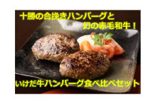 北海道 十勝 合挽きハンバーグといけだ牛100％ハンバーグ 食べ比べ 計4個 冷凍 小分け 池田牛 テレビで紹介 ブランド牛 牛肉 お肉 北海道牛 国産 北海道 幻の赤毛和牛
