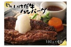 いけだ牛ハンバーグ4個セット180g×4個 冷凍 小分け 池田牛 テレビで紹介 ブランド牛 牛肉 お肉 北海道牛 国産 北海道 幻の赤毛和牛