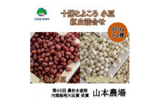 山本農場 十勝とよころの小豆 紅白詰合せ 800g×2種[№5891-0280]