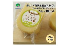 搾りたて自家生産生乳100%使用！ゴーダチーズ（プレーン）100g×4個セット【北海道十勝 豊頃町】［チーズ工房「幸」】[№5891-0376]