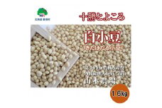 山本農場 十勝とよころの小豆 きたほたる小豆 1.6ｋg[№5891-0462]