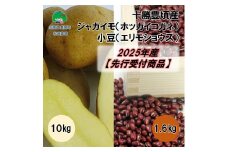 十勝豊頃産 ジャガイモ10kg(ホッカイコガネ)･小豆1.6kg(エリモショウズ)【2025年産】（先行受付）［松崎農場］