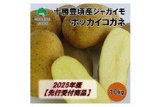 十勝豊頃産ジャガイモ 10kg（ホッカイコガネ）【2025年産】（先行受付）［松崎農場］