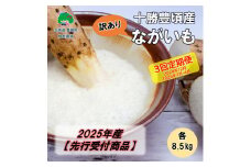 【訳あり】2025年産 十勝豊頃産 ながいも 各8.5kg【3回定期便 2025年12月･2026年2月・4月発送】（先行予約）【植村農場】