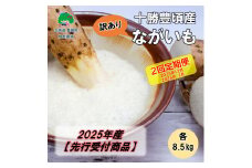 【訳あり】2025年産 十勝豊頃産 ながいも 各8.5kg【2回定期便 2025年12月･2026年2月発送】（先行受付）【植村農場】