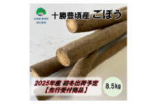 十勝豊頃産 ごぼう8.5kg【2025年初冬出荷（先行受付）】【植村農場】