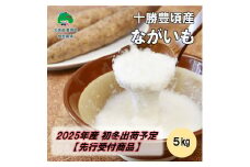 十勝豊頃産 ながいも5kg【2025年初冬出荷（先行受付）】【植村農場】