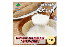 十勝豊頃産 ながいも5kg【2025年初冬出荷（先行受付）】【植村農場】