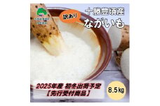 【訳あり】十勝豊頃産 ながいも8.5kg【2025年初冬出荷（先行受付）】【植村農場】