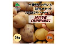 十勝野じゃがいも詰合せセット10kg（きたあかり・メークイン）【2025年産】（先行受付）［按田農場］