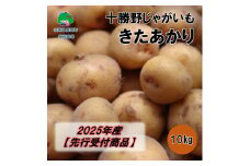 十勝野じゃがいも きたあかり10kg【2025年産】（先行受付）［按田農場］