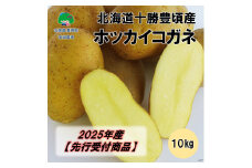 北海道十勝豊頃産 ホッカイコガネ10kg【2025年産】（先行受付】［安田農場］